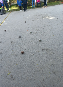 Zdjęcie_nr_8_przedstawia_kule_na_boisku_do_Boule.png