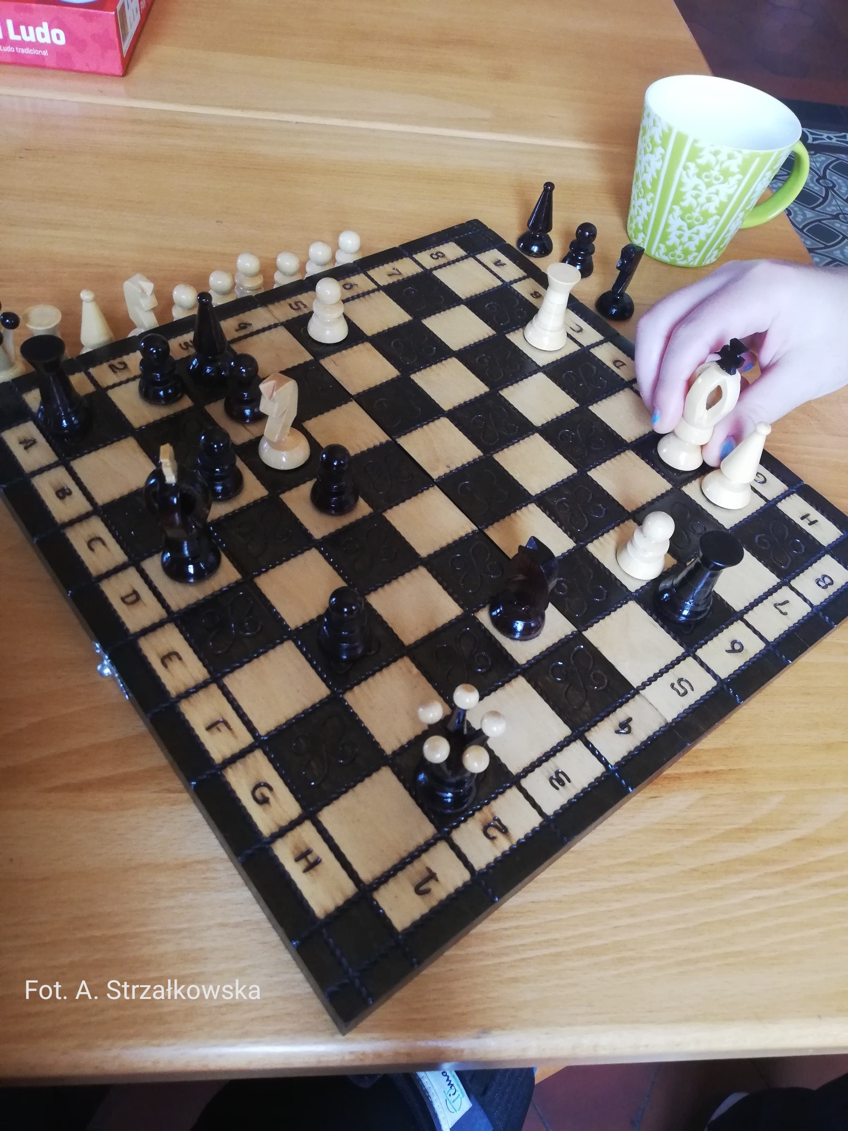 DPSKaletnicza02