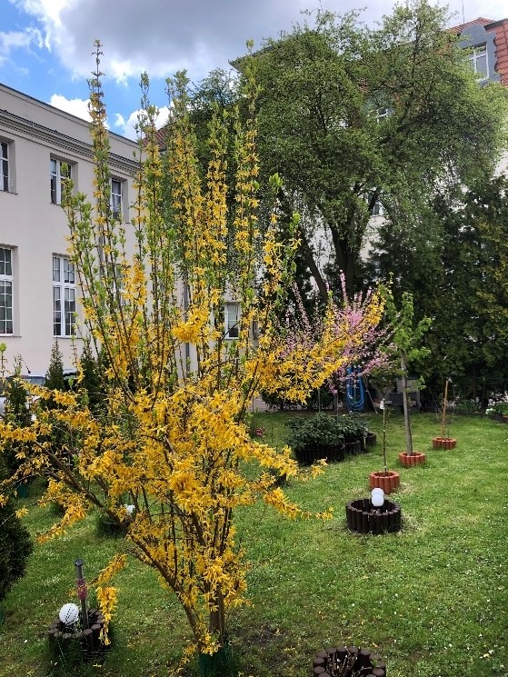 DPSKaletnicza01