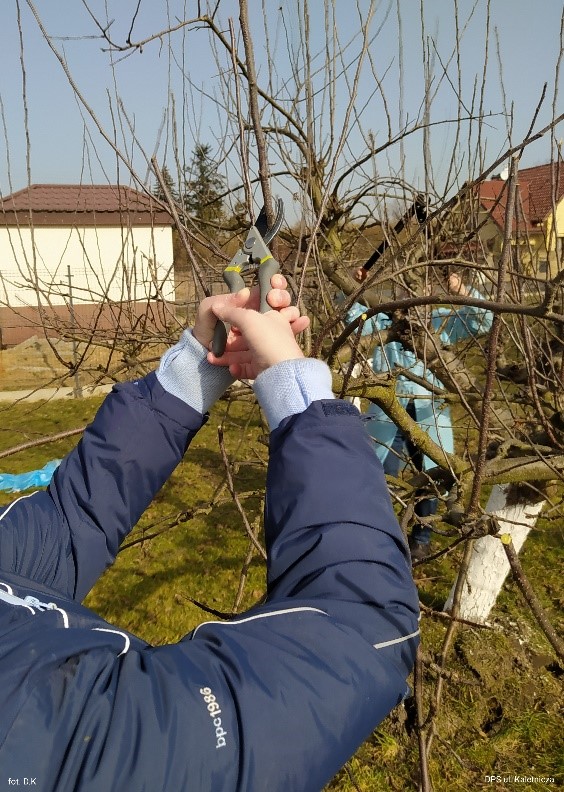 DPSKaletnicza10
