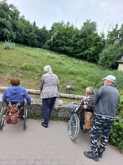 Zdjęcie nr.1 Widać na zdjęciu mieszkańców oglądających zwierzęta w otoczeniu zieleni.