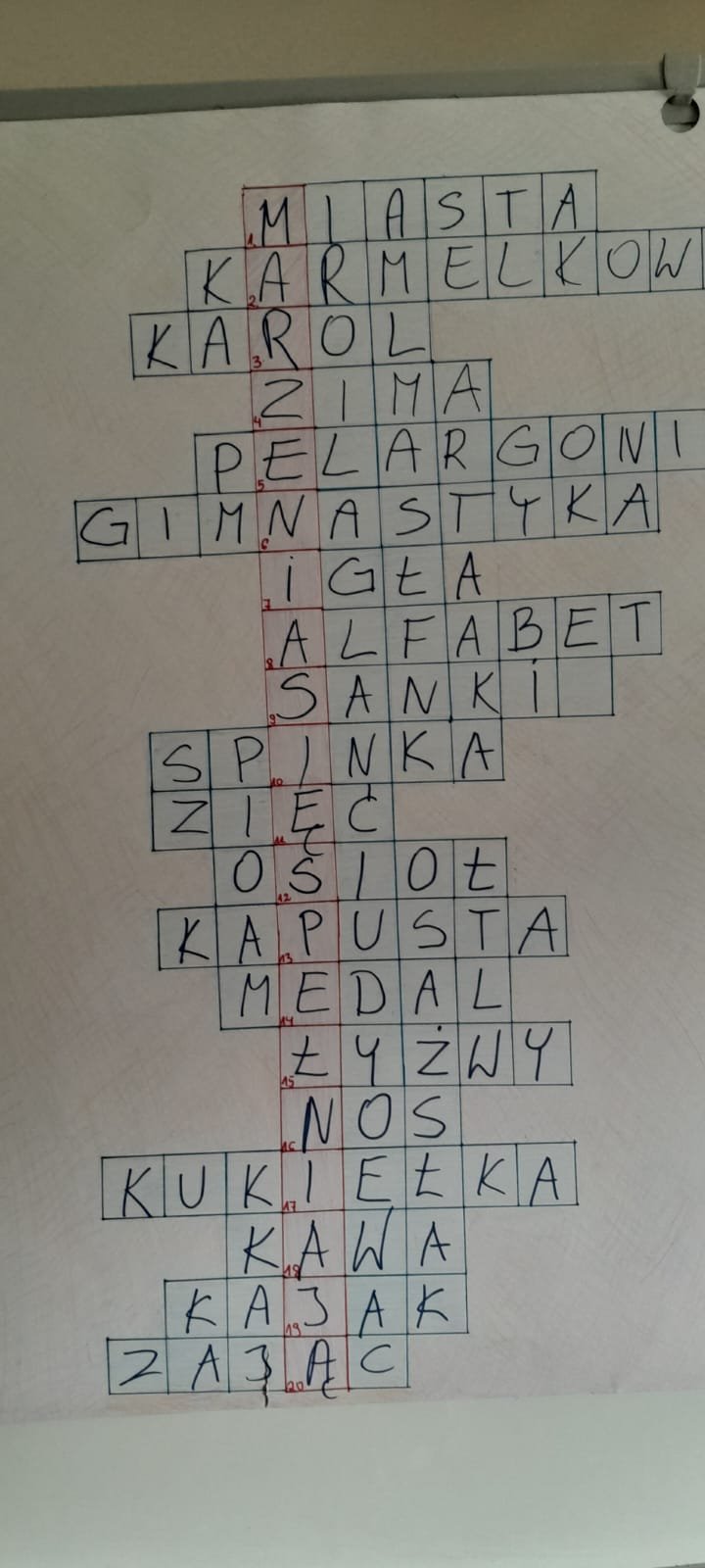DDPKarmelkowa005