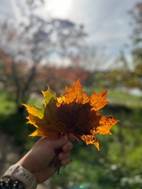 image041