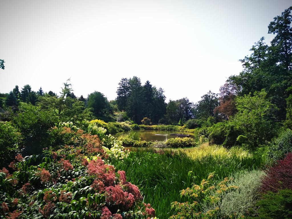 Arboretum Kaletnicza Copy