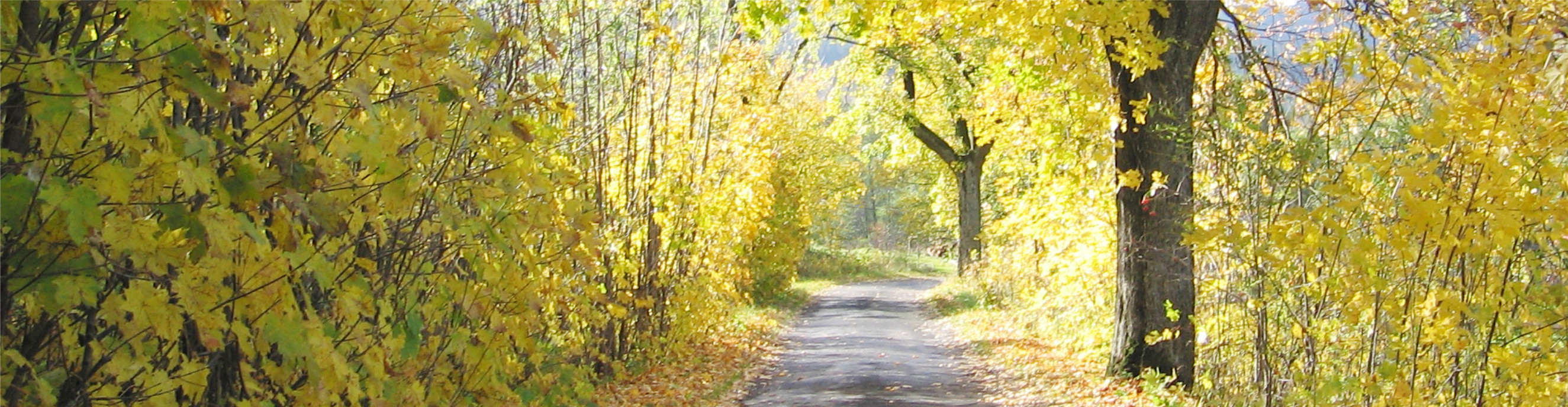 Baner Domowa Przystań